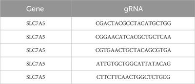 A rapid and simple non-radioactive assay for measuring uptake by solute carrier transporters